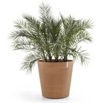 Ecopots AMSTERDAM PYÖRILLÄ 80CM TERRACOTTA