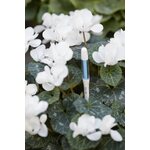 Ecopots RUUKUN KOSTEUSTASON MITTAAJA 18CM