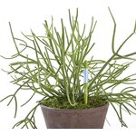 Ecopots RUUKUN KOSTEUSTASON MITTAAJA 25CM