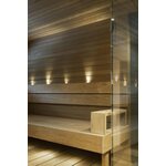 Saas Instruments Valokuituvalaisin Highline Sauna Basic 10W LED 6+1 DIM