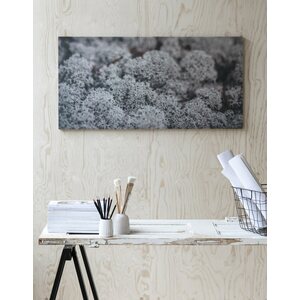 SUO acoustics Akustiikkataulu Acoustics jäkälä