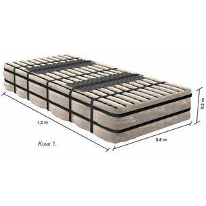 Fann Biomoduuli IN-DRÄN jätevesijärjestelmiin