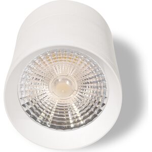 Valaisin Grönlund EAGLE LED SPOT 30W kiskoon valkoinen