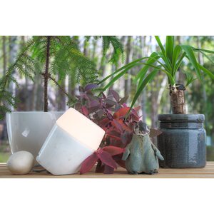 Sessak Lighting Louhi pöytävalaisin betoninvärinen / valkoinen E27 Max. 15W IP20