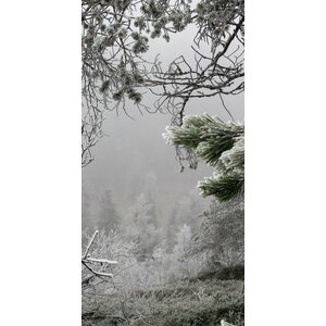 SUO acoustics Akustiikkataulu Lappi
