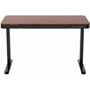 Bandago Elite 60x120cm sähköpöytä tammi