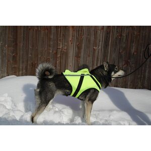 Nordicdog Dina GPS-turvaliivi