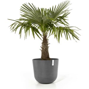 Ecopots OSLO 55CM HARMAA