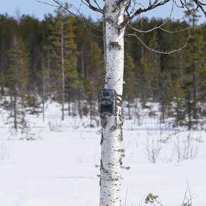T-cam TC571 riistakamera, FHD, camo