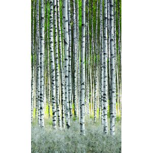 Tapetit.fi Tapetti Smart Art Easy 1,59 x 2,70m mural non- woven