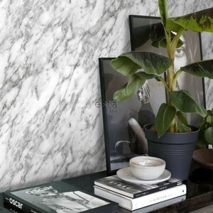 Esta Home Black & White with a splash of Gold non-woven tapetti