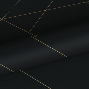 Esta Home Black & White with a splash of Gold non-woven tapetti