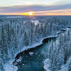 EcoFurn Ekotuoli Tervaleppä öljytty musta