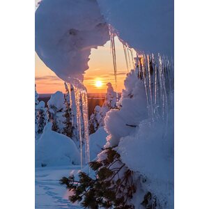 EcoFurn Ekotuoli Mänty musta öljytty