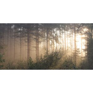 SUO acoustics Akustiikkataulu Aamu