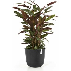 Ecopots OSLO 35CM TUMMANHARMAA