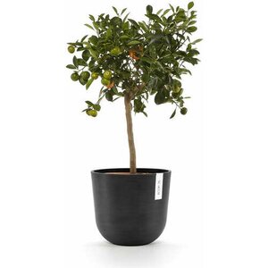 Ecopots OSLO 25CM TUMMANHARMAA