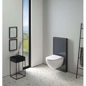 IDO Seinä-WC Geberit Acanto Rimfree