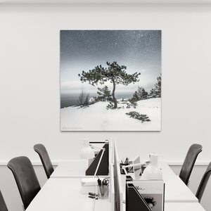 Niko Laurila Bonsai akustiikkataulu 1:1