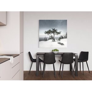 Niko Laurila Bonsai akustiikkataulu 1:1