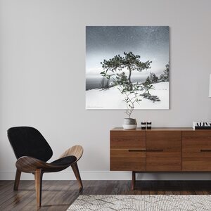 Niko Laurila Bonsai akustiikkataulu 1:1