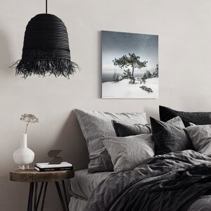Niko Laurila Bonsai akustiikkataulu 1:1