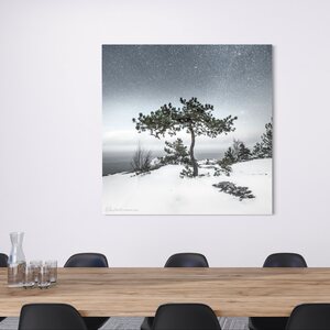 Niko Laurila Bonsai akustiikkataulu 1:1
