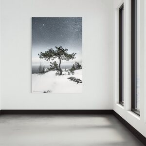 Niko Laurila Bonsai akustiikkataulu 2:3