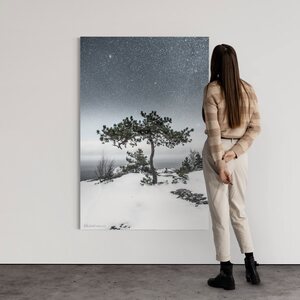 Niko Laurila Bonsai akustiikkataulu 3:4