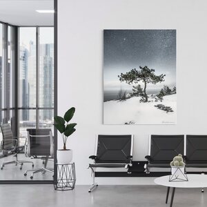 Niko Laurila Bonsai akustiikkataulu 3:4