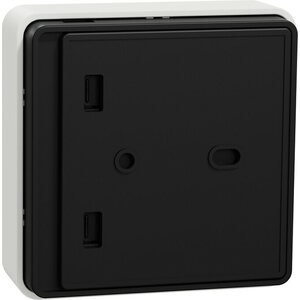 Schneider Electric Wiser paristokäyttöinen lämpötila/kosteusanturi
