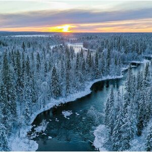 EcoFurn Ekotuoli Tervaleppä öljytty greige