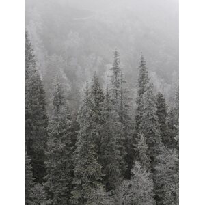 Rilla Tervonen Akustiikkataulu Tunturi 4