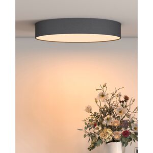 Sessak Lighting Kangas älyplafondi 40cm (sis. kaukosäätimen)