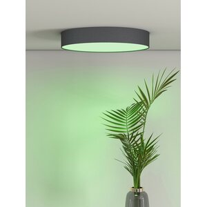 Sessak Lighting Kangas älyplafondi 30cm (sis. kaukosäätimen)