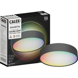Sessak Lighting Kangas älyplafondi 30cm (sis. kaukosäätimen)