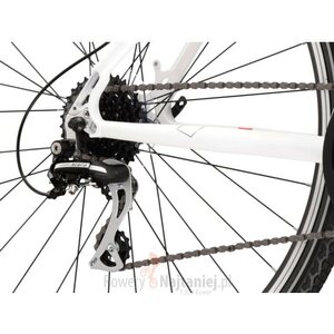 Kross Evado 3.0 28" L naisten maastopyörä