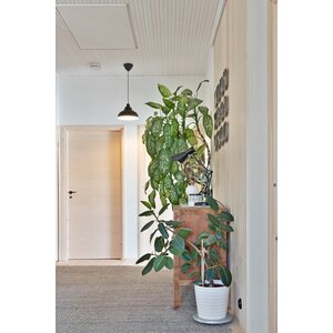 Sessak Lighting Kattovalaisin Corbin