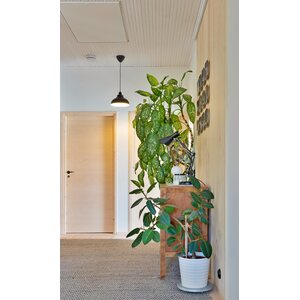 Sessak Lighting Kattovalaisin Corbin