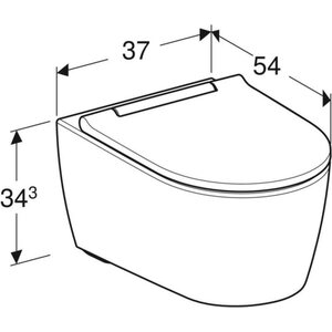 Geberit SEINÄ-WC ONE TURBOFLUSH VALK.ISTUINKANNELLA