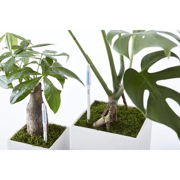 Ecopots RUUKUN KOSTEUSTASON MITTAAJA 18CM