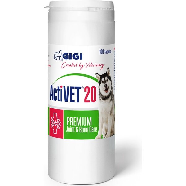 GIGI ActiVET20 luu- ja nivelravinne isolle koiralle 100 tablettia